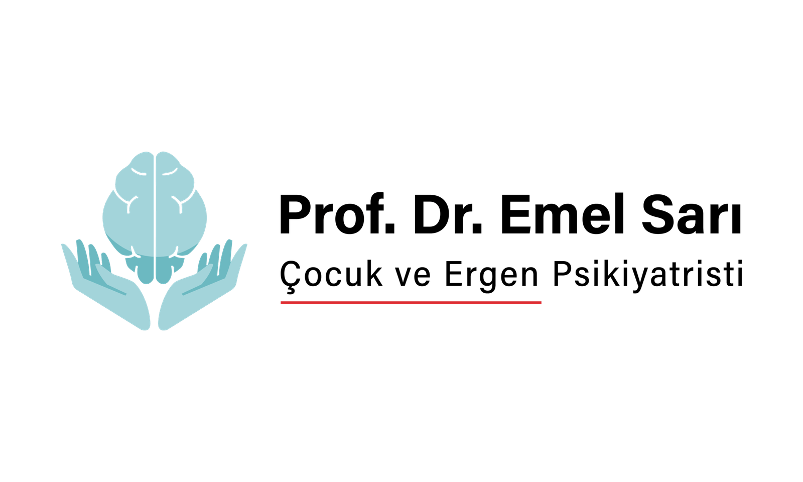 شعارات شركائنا MB-06